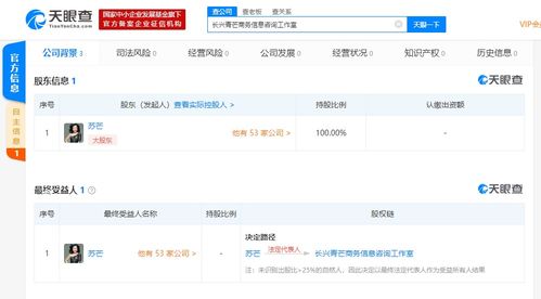 昔日时尚女王的转身 苏芒离职两年后创办商务咨询工作室